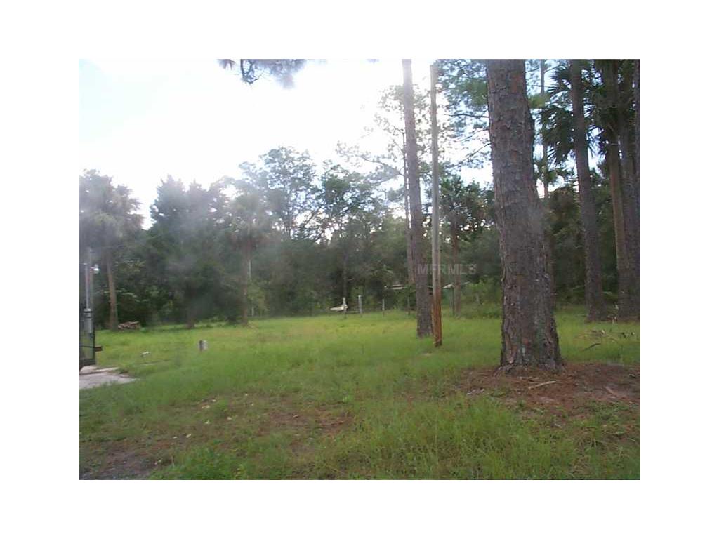 54220 3rd St, Astor, FL 32102 photo 1