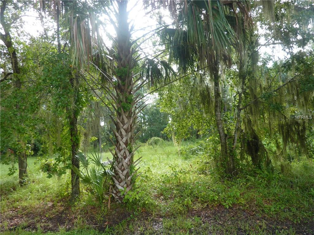 441 River Dr, Debary, FL 32713 photo 1