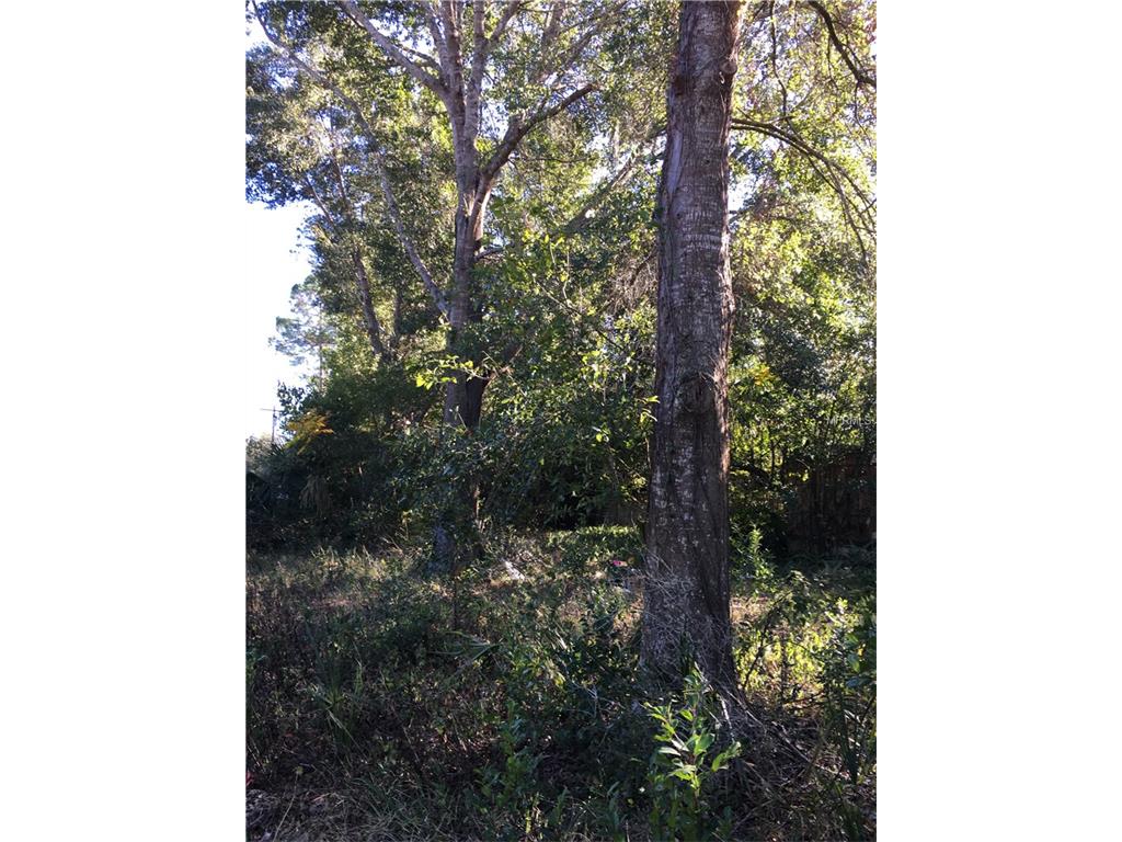 40201 Overlook Dr, Eustis, FL 32736 photo 1