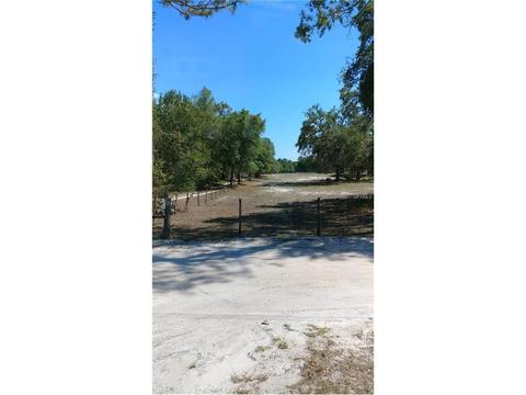12836 40th Dr, Webster, FL 33597 photo 1