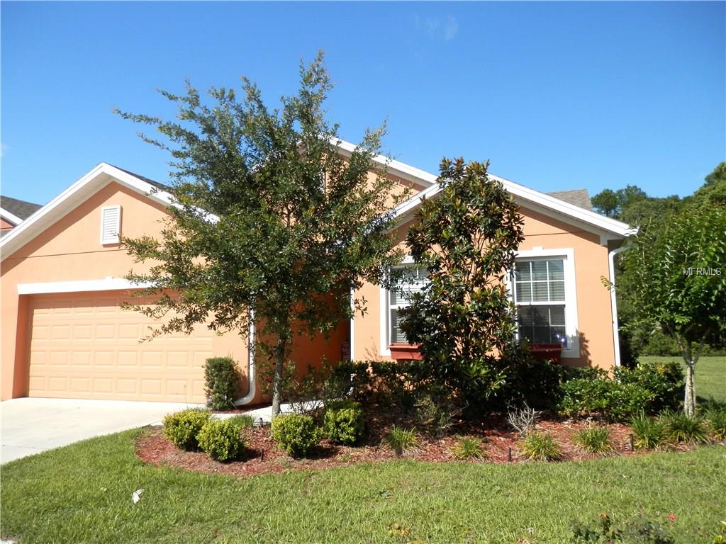 784 Chacall Loop, Mount Dora, FL 32757 photo 1