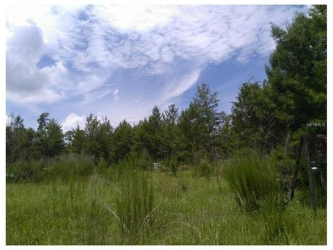 32434 Autumn Mist Rd, Eustis, FL 32736 photo 1