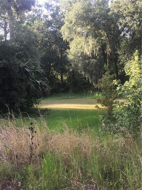1630 Shell Harbor Rd, Pierson, FL 32180 photo 1