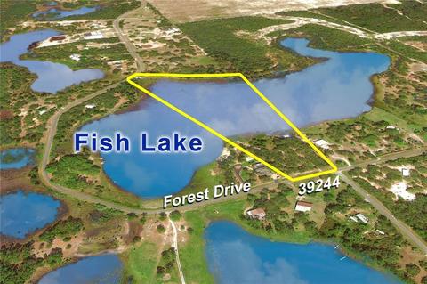 39244 Forest Dr, Eustis, FL 32736 photo 1