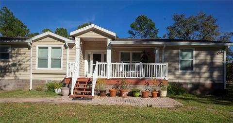 920 Carruthers Ln, Pierson, FL 32180 photo 1