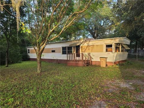 31243 E State Road 44, Eustis, FL 32736 photo 1