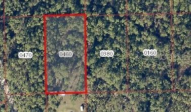 No Street, New Smyrna Beach, FL 32168