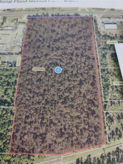 State Road 40, Astor, FL 32102