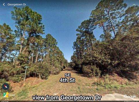 209 SE 4th St, Georgetown, FL 32139 photo 1