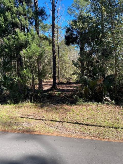 3 Rd St, Astor, FL 32102 photo 1