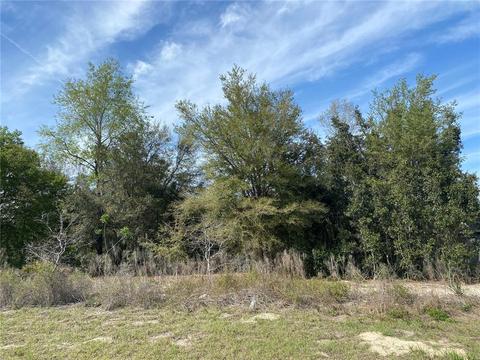 00 SW 158 Pl, Ocala, FL 34473