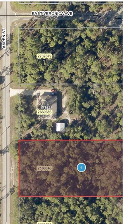 Aspen Street, Eustis, FL 32736