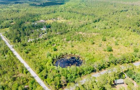 960 Shell Harbor Rd, Pierson, FL 32180 photo 1