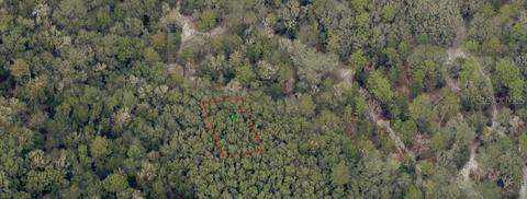 Baltimore Avenue, Orange City, FL 32763