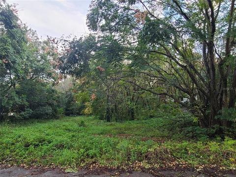 664 Black Ironwood Dr, Deland, FL 32724