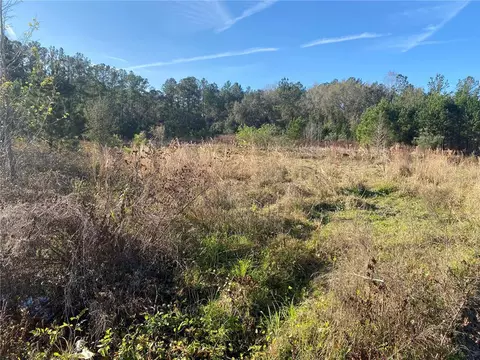 956 S Hwy 17, Satsuma, FL 32189