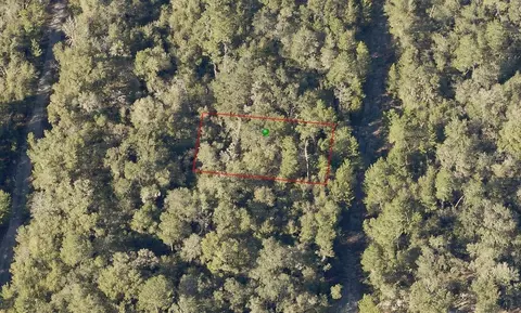 Wauchula Avenue, De Leon Springs, FL 32130