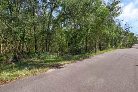 Macy Avenue, Lake Helen, FL 32744