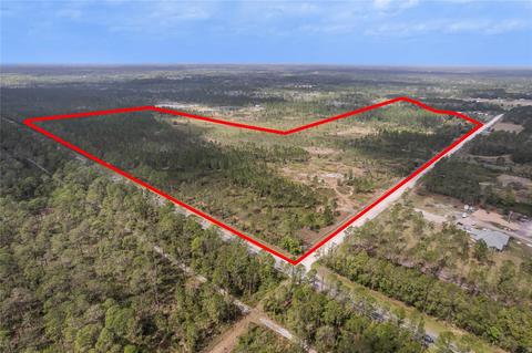 798 E State Rd 40, Pierson, FL 32180 photo 1
