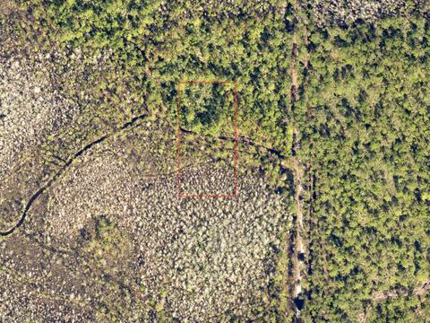 No Street, Deland, FL 32724