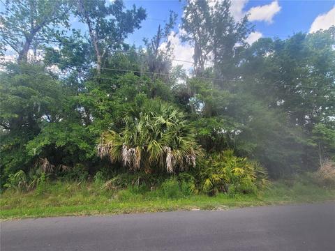 242 Toms Rd, Debary, FL 32713