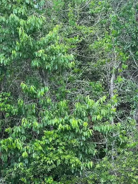 Elkcam Boulevard, Chipley, FL 32428