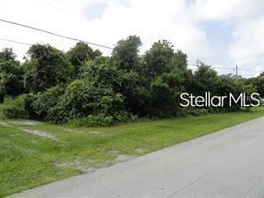 19 Th St, Orange City, FL 32763