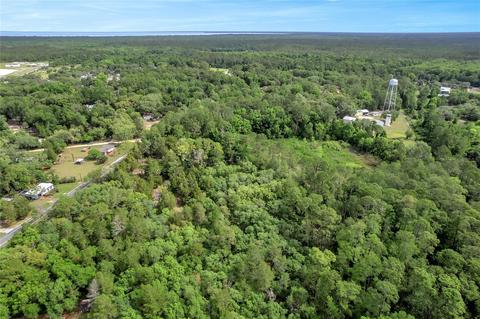 County Road 445a, Astor, FL 32102