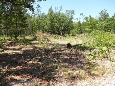Meadowlark, Palatka, FL 32178