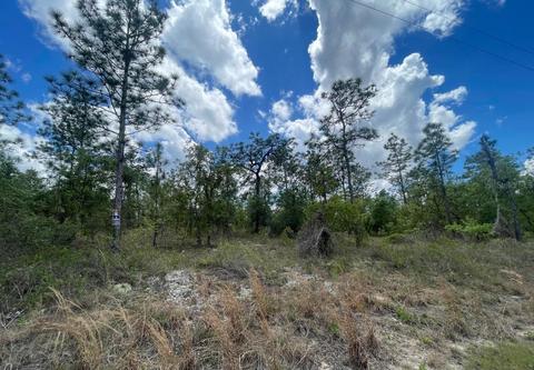 SW Anchor Boulevard, Dunnellon, FL 34431