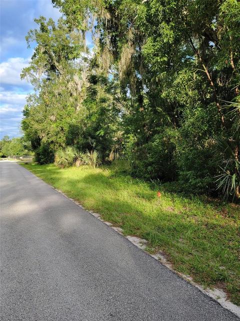 Purdom Cemetery Road, Pierson, FL 32180