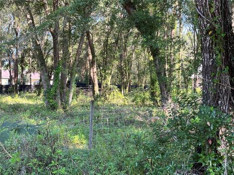 Tangerine Avenue, Lake Helen, FL 32744