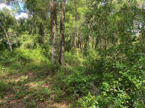 468 N High St, Lake Helen, FL 32744