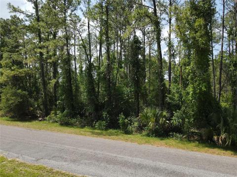 Apricot Avenue, Eustis, FL 32736