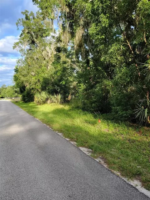 Purdom Cemetery Road, Pierson, FL 32180