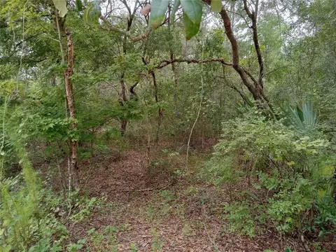 Lake Margaret Blvd, Pomona Park, FL 32181