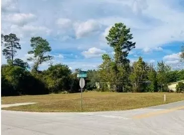 28417 Bougainvillea Ave, Paisley, FL 32767