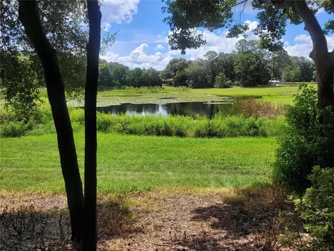 Minshew Road, Pierson, FL 32180
