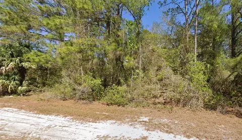 104 May Ave, Georgetown, FL 32139