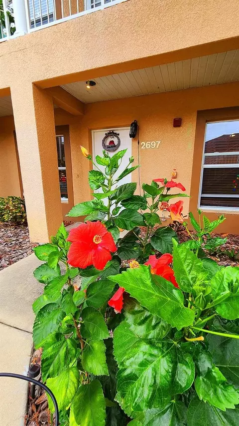 2697 Emerald Lake Ct, Kissimmee, FL 34744