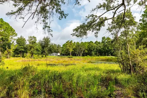 0000 Wild Acres Trl, Paisley, FL 32767