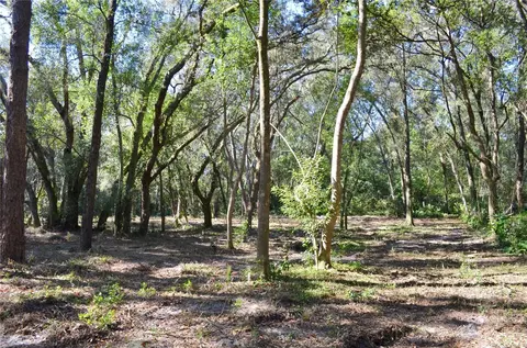 Racine Road, Orange City, FL 32763