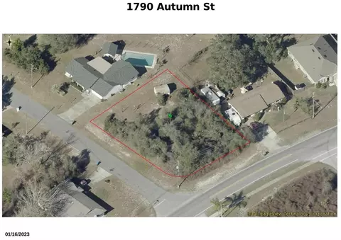 1790 Autumn St, Deltona, FL 32738