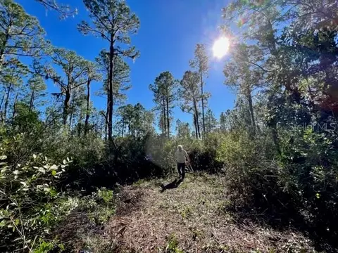 Beacon Circle, Georgetown, FL 32139
