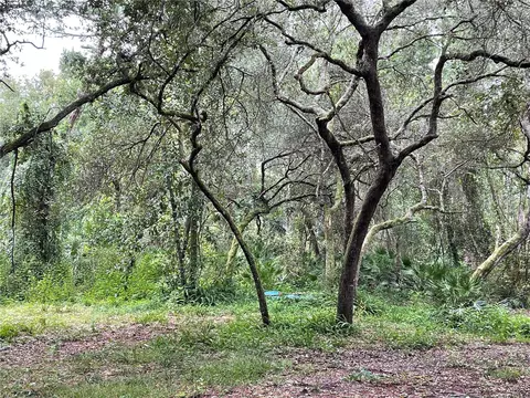 55147 1st St, Astor, FL 32102