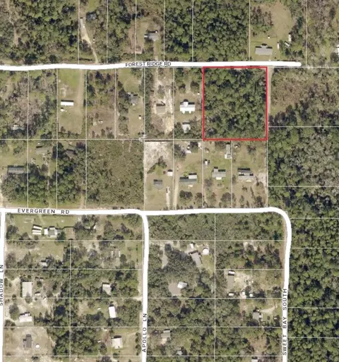 Forest Ridge Road, Deland, FL 32720