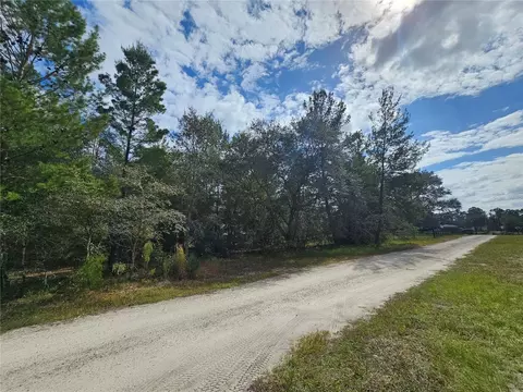 1015 Seminole Bear Trl, Pierson, FL 32180