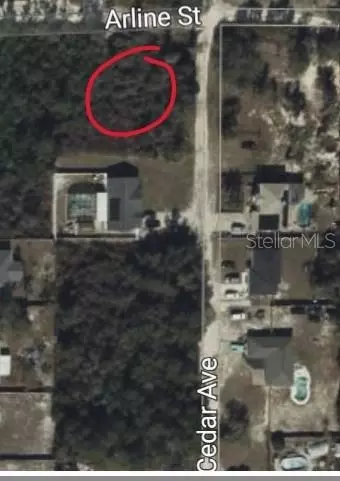 S Cedar Avenue, Orange City, FL 32763