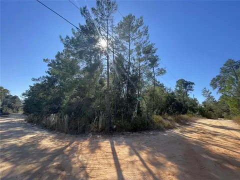 Magnolia St & Pinetree St., Pomona Park, FL 32181