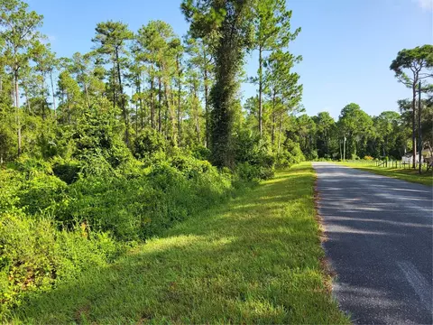 Cashew Street, Eustis, FL 32736